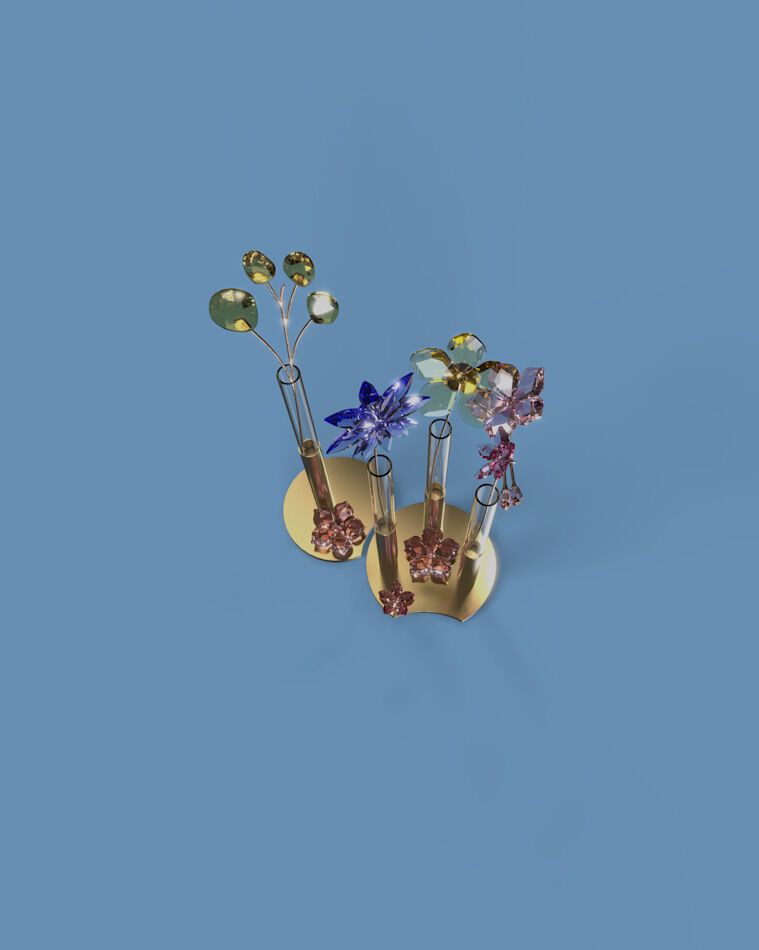 swarovski into the wild swarovski into the wild