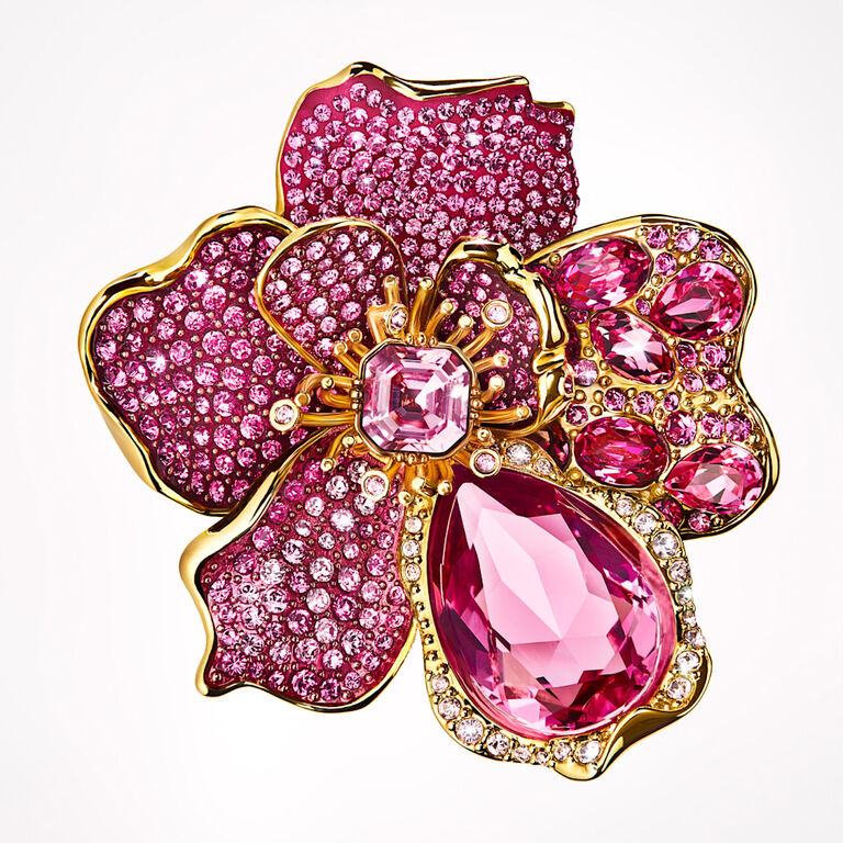 Image without a name 