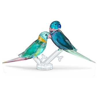 Jungle Beats Parakeet Couple Fife & Fifer swarovski jungle beats parakeet couple fife   fifer
