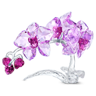 Crystal Flowers Orchid