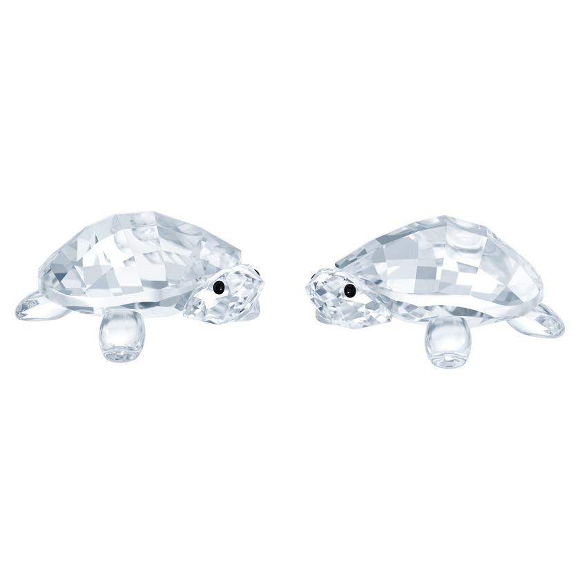 swarovski peaceful countryside baby tortoises