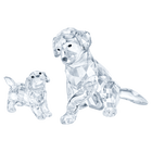 swarovski peaceful countryside labrador family
