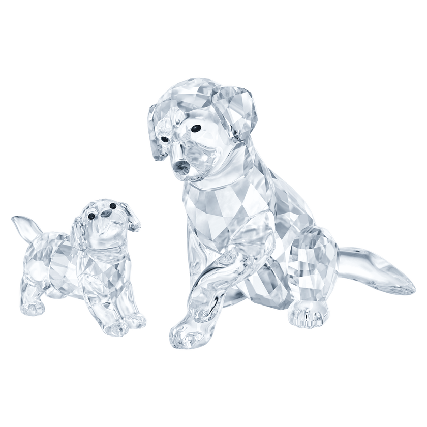 swarovski peaceful countryside labrador family
