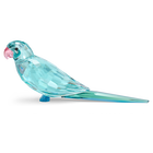 swarovski jungle beats blue parakeet paco