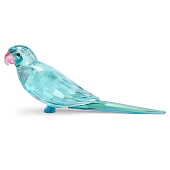 swarovski jungle beats blue parakeet paco