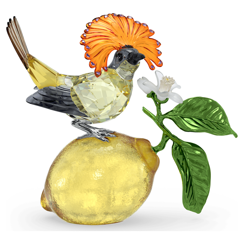 swarovski idyllia royal flycatcher