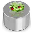 swarovski idyllia clover and ladybug decorative box