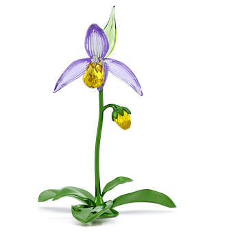swarovski florere lady slipper orchid