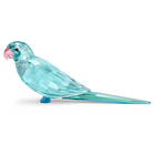 swarovski jungle beats blue parakeet paco