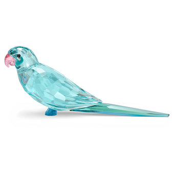 swarovski jungle beats blue parakeet paco