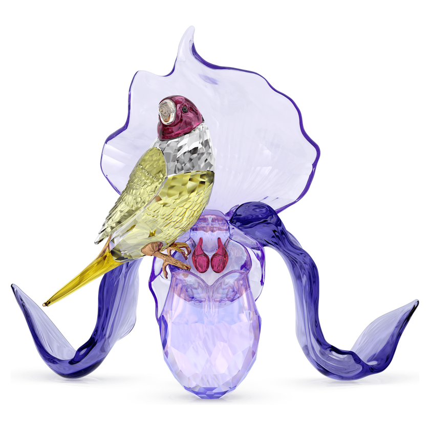 swarovski idyllia gouldian finch and orchid
