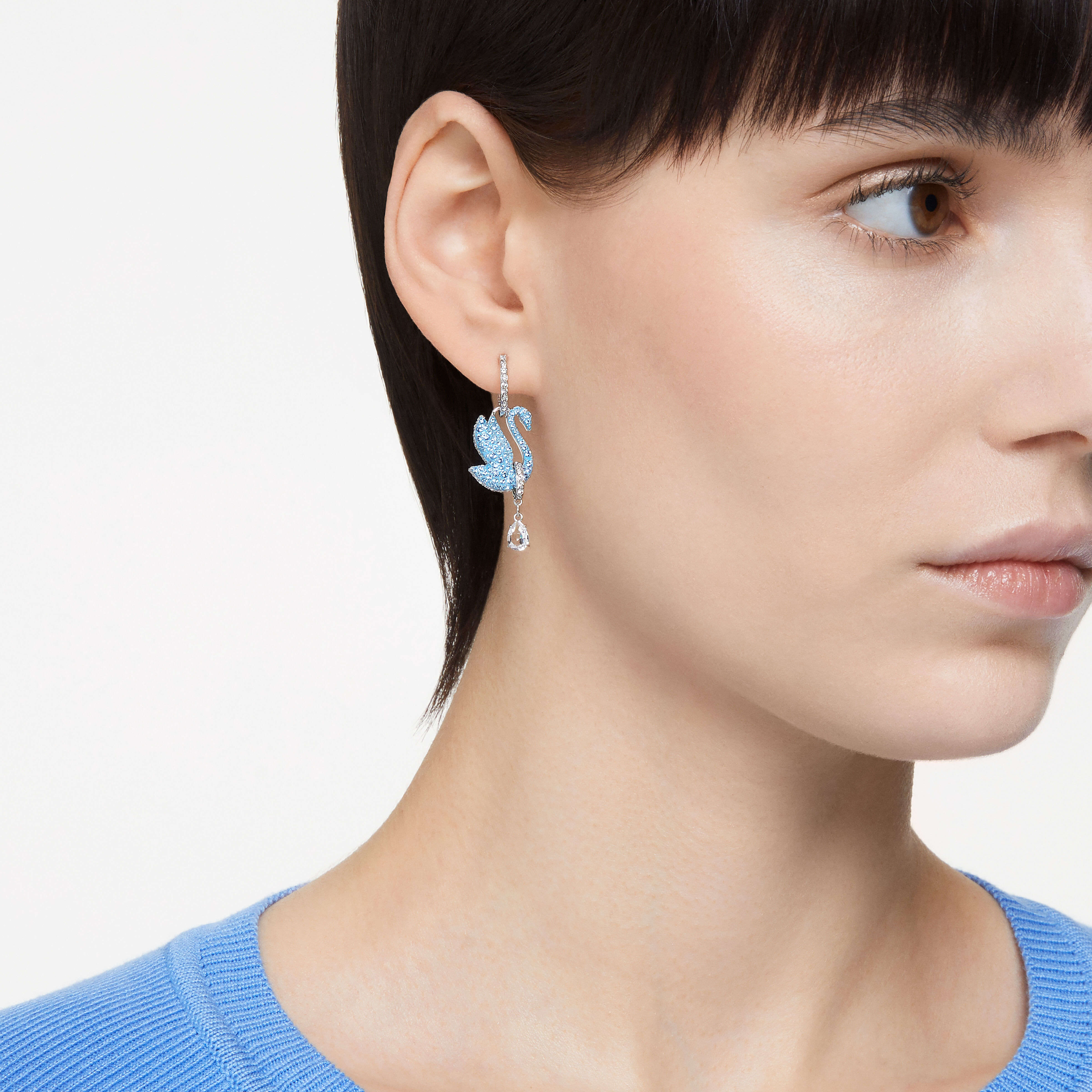 Swarovski blue earrings sale