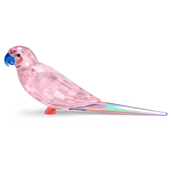 Jungle Beats Pink Parakeet Cha Cha swarovski jungle beats pink parakeet cha cha