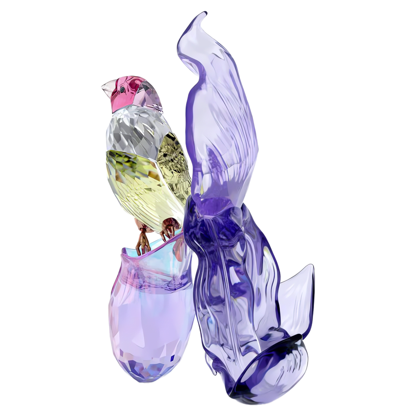 swarovski idyllia gouldian finch and orchid