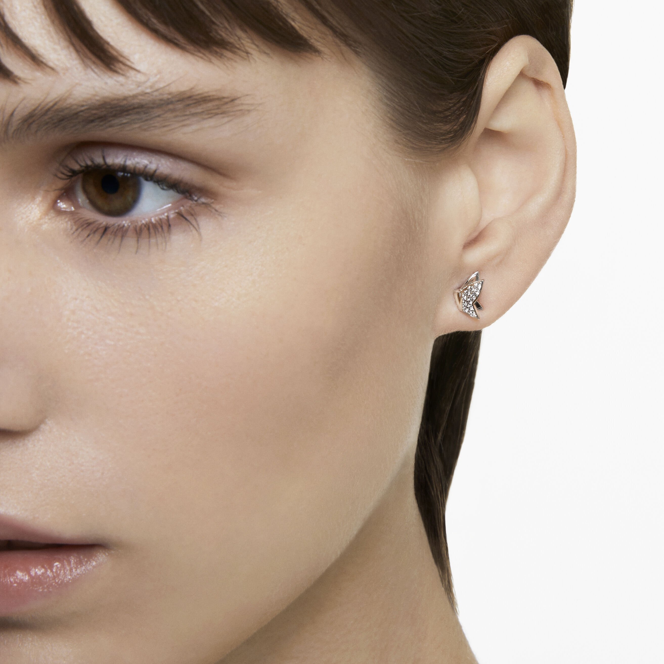 Buy Swarovski Lilia stud earrings Butterfly White Rhodium plated